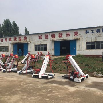 點擊查看詳細(xì)信息<br>標(biāo)題：裝袋機 閱讀次數(shù)：2694